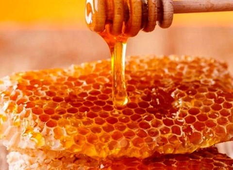 قیمت عسل جنگلی مازندران + خرید باور نکردنی